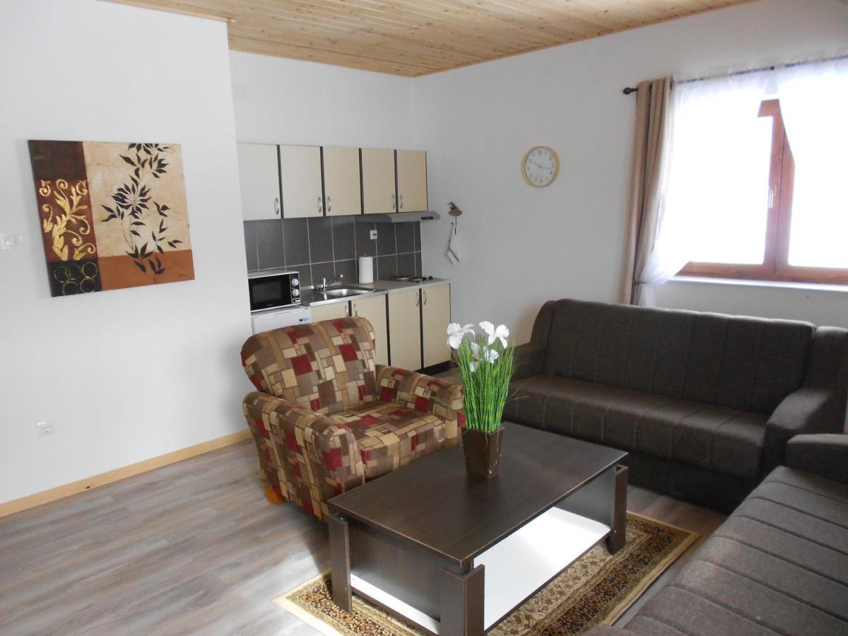 Guest House Good Night Donji Babin Potok Exterior foto